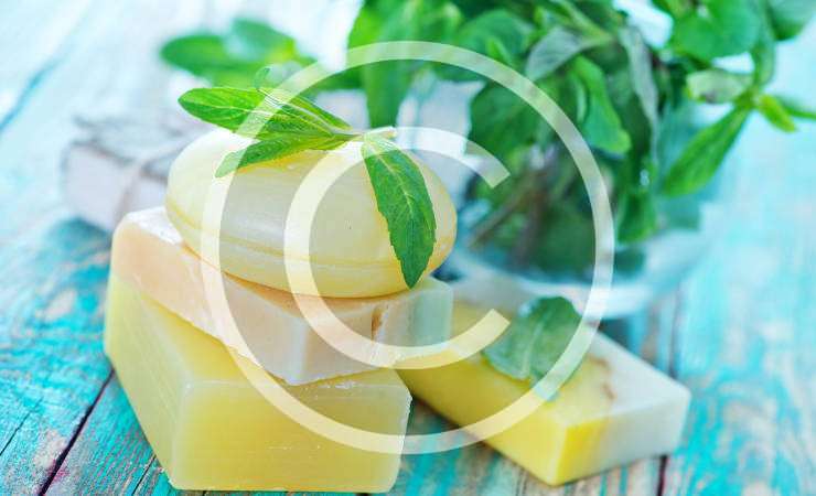 Best Handmade Soap Recipes